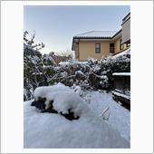 2月8日　久しぶりの大雪！