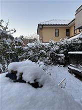 2月8日　久しぶりの大雪！