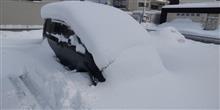 今冬イチの積雪。