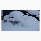 雪