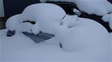 雪