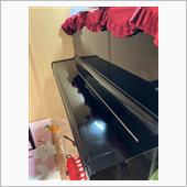 磨いてみた