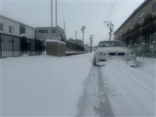 雪が降ったよ
