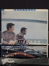 クルマ・ジャケ「冬のハイビスカス」／ブレッド＆バター