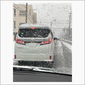昨日は、大雪。