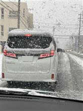 昨日は、大雪。
