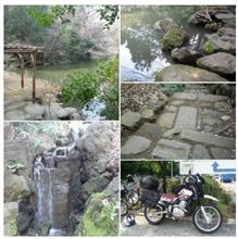 『三四郎池』は受験生が一人で行くと 【浪人】してしまうというジンクスもある　(ﾟДﾟ;)