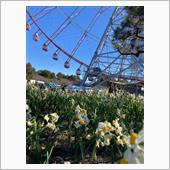 葛西臨海公園　水仙まつり