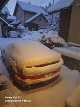 除雪しました。効くな～2025.2.9😅