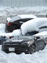 積雪/2025-2