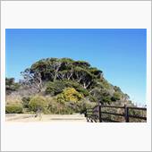 観音崎公園