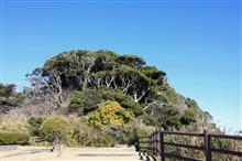 観音崎公園 観音崎公園
