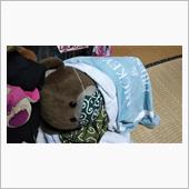 今日･･･コタツに入れなかっ ...