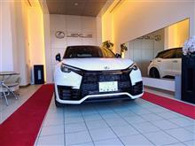 モリゾー君　納車されて１ヵ月　購入に至った経緯（くだらない内容です）