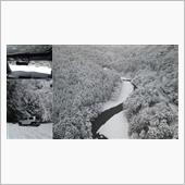 雪の朝