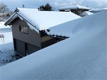 激しい寒波の狭間にて