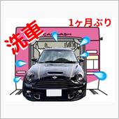 1ヶ月ぶりの洗車(機)