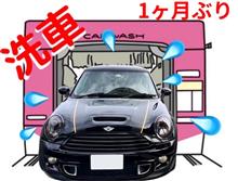 1ヶ月ぶりの洗車(機)