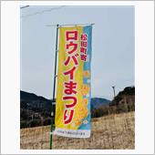 ろうばいを見に行ってきました。
