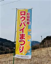 ろうばいを見に行ってきました。