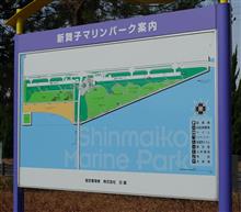 舞子サンデーと新舞子サンデーの区別が付いていなかった件💦