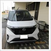 サクラを久しぶりに洗車