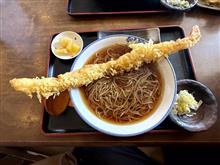 🦐 きょ・巨大！