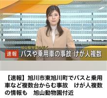 動物色々(ΦωΦ) 動物色々(ΦωΦ)