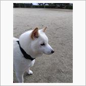 土、日は公園散歩しました2/ ...