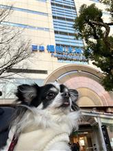 2025/2月　大都会　博多へ