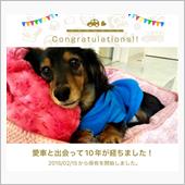 愛犬と出会って10年！