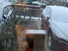 また雪