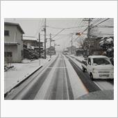 またまた大雪