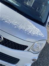 雪❄️が少々