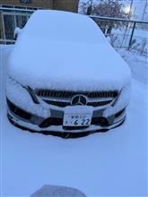白老に住んで