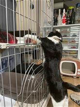ついつい応援したくなる