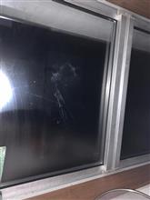 鳥が突撃した？
