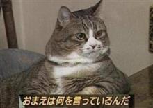 う〜ん…