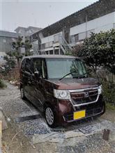 愛知県にも寒波到来
