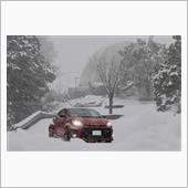 吹雪ドライブ