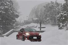 吹雪ドライブ