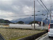冠雪