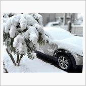 寒波❄️寒波❄️寒波