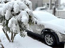 寒波❄️寒波❄️寒波