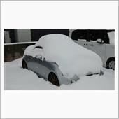 今日も無理