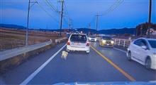 国道三号線でワンちゃん逃走劇に遭遇した件 国道三号線でワンちゃん逃走劇に遭遇した件