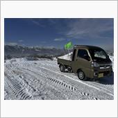 排雪日記14日目延べ30往復