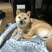 【出費】続くときは続くもの【散財】