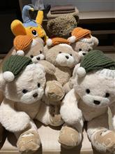 北の大地へ ～クマに思いを馳せて～　①
