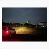 キツネ探し中、畑荒らし警戒中 ...